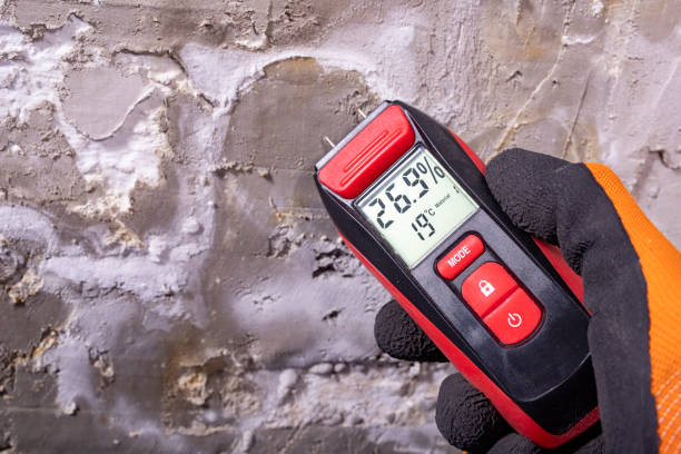 Best Office Mold Removal Services  in Carrier Mls, IL
