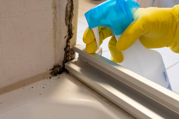 Best Mold Removal and Inspection  in Carrier Mls, IL