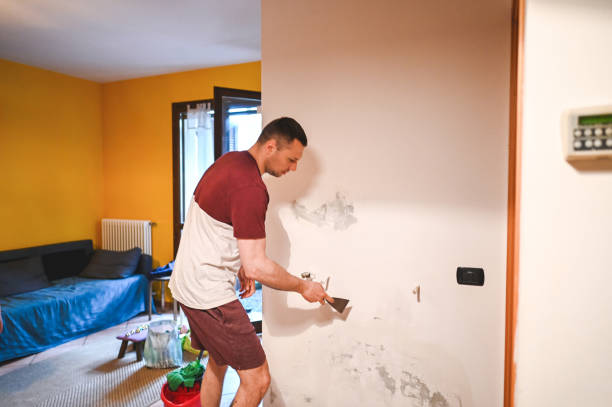 Best Same-Day Mold Removal  in Carrier Mls, IL