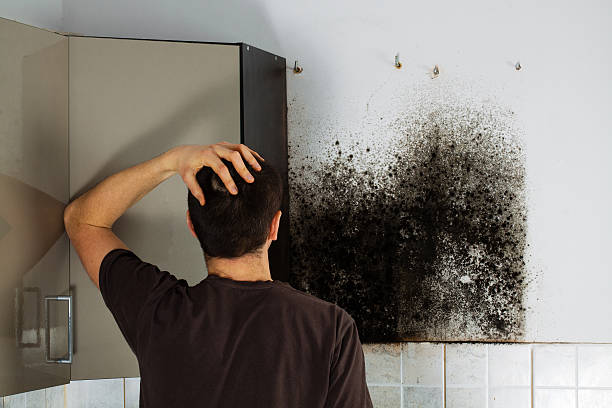 Best Residential Mold Removal  in Carrier Mls, IL